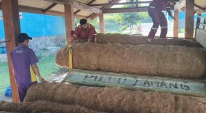 IMG-20250715-WA0008-300x165 Inovasi Lapas Tulungagung: Melahirkan Alas Sapi Unggulan Bersama BBIB Singosari