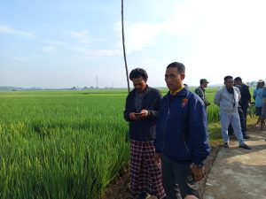IMG-20250913-WA0000-300x225 Aliran Listrik Jebakan Tikus Telan Korban Jiwa